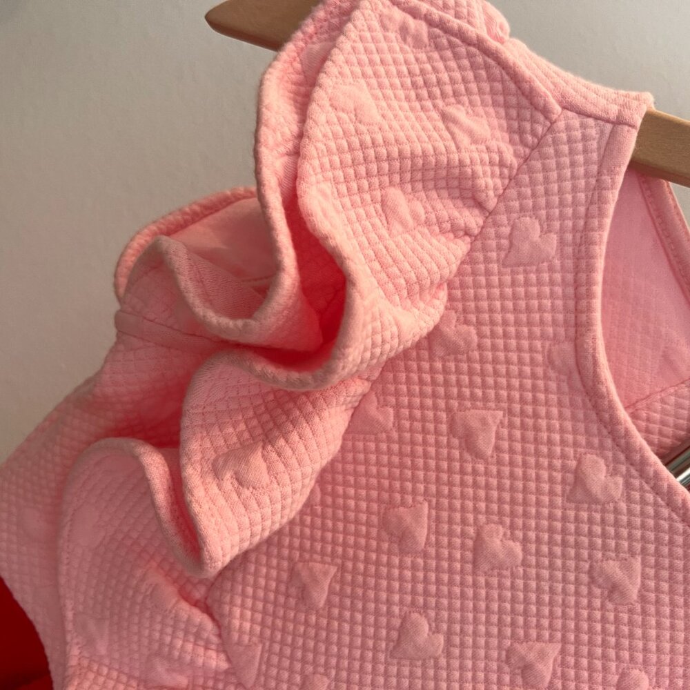 Janie and Jack Pink & Red Heart textured Dress – NWT - Picture 5 of 5